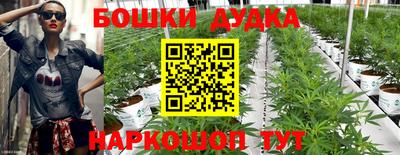 соль ск Ипатово