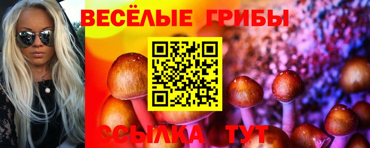 Галлюциногенные грибы MAGIC MUSHROOMS Зеленокумск