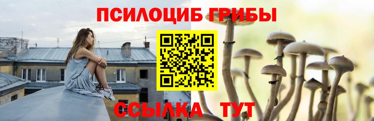 Псилоцибиновые грибы Cubensis  Вход с VPN  Зеленокумск 